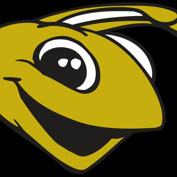 AR BEE 31 RC Thumbnail