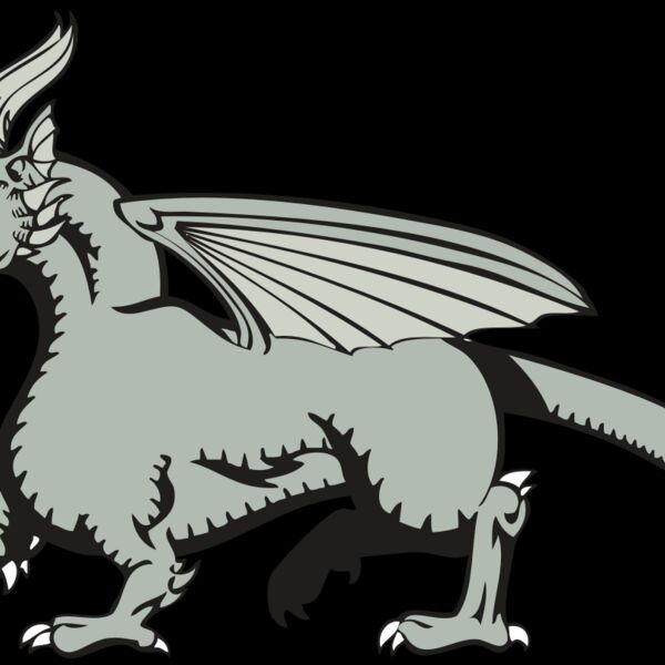 BAW DRAGON 20 RC Thumbnail