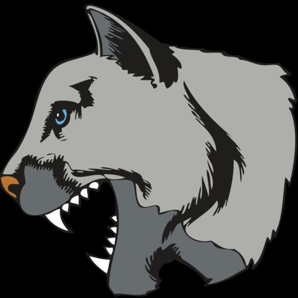 BAW COUG PANTH 15 R Thumbnail