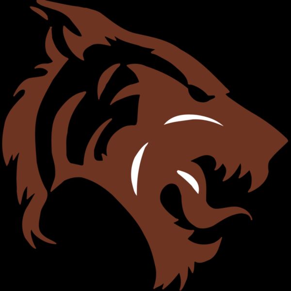 AR5 TIGER 06 RQC Thumbnail