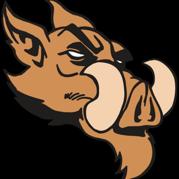 AR5 Razorback 16 RQC Thumbnail