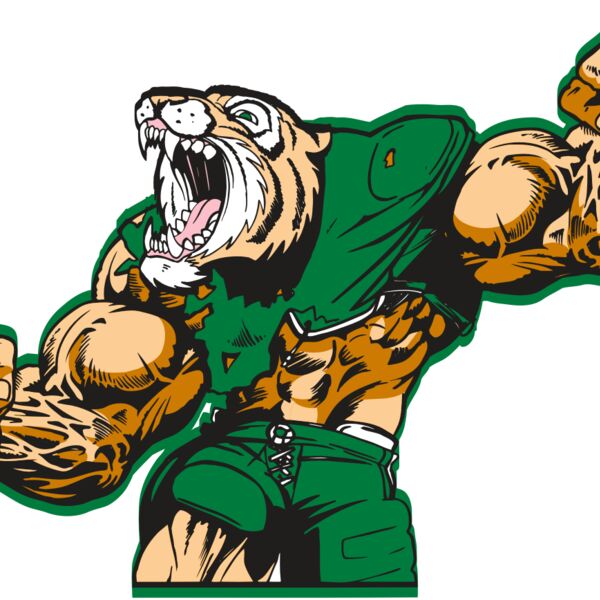 AR TIGER 34 RC Thumbnail