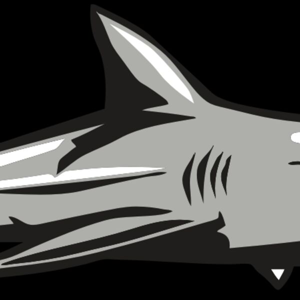 AR9 SHARK 01 RQC Thumbnail